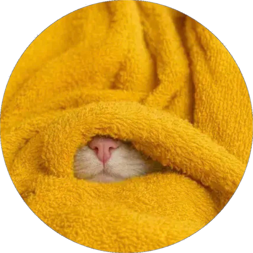 A cat wrapped in a golden blanket with only its pink nose peeking out